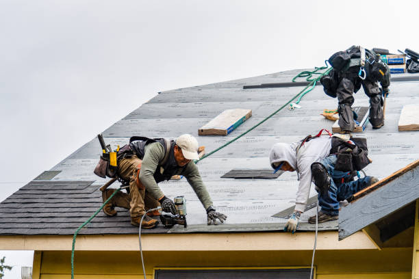 Professional Roofing technician working in Miles, IA